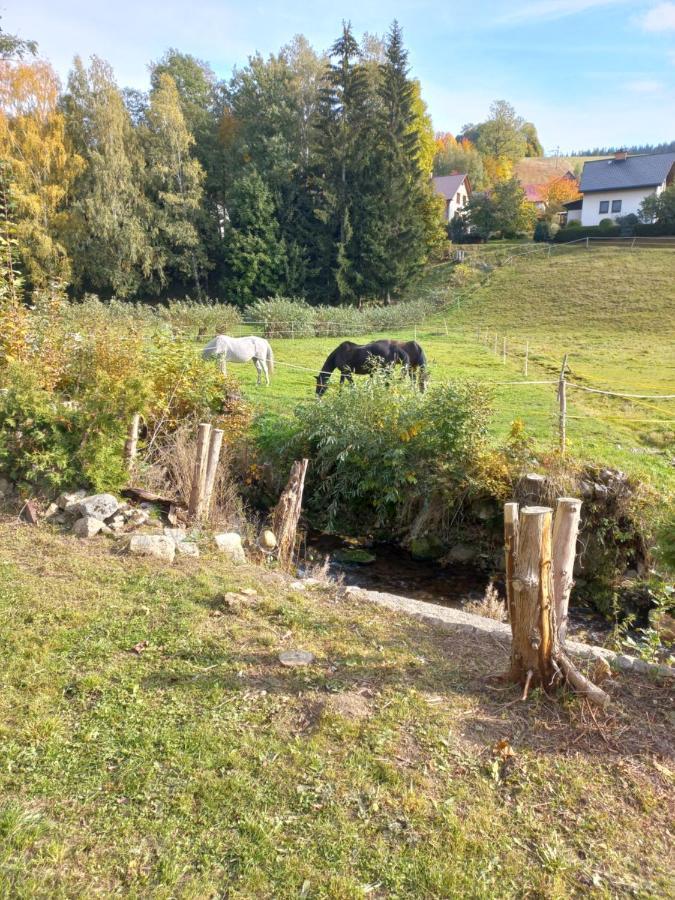 Penzion Matula Rokytnice nad Jizerou Exterior foto